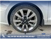 2018 Hyundai Elantra GT Sport (Stk: P6576) in Olds - Image 6 of 25