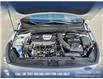 2018 Hyundai Elantra GT Sport (Stk: P6576) in Olds - Image 10 of 25