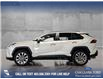 2019 Toyota RAV4 Limited (Stk: P13978) in Airdrie - Image 3 of 24
