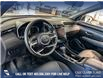 2023 Hyundai Santa Cruz Trend (Stk: P13987) in Airdrie - Image 13 of 25
