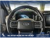 2023 Ford F-150 Lariat (Stk: P14006) in Airdrie - Image 14 of 25