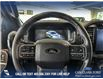 2024 Ford F-150 XLT (Stk: RC19628) in Airdrie - Image 14 of 25
