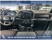 2024 Ford F-150 XLT (Stk: RC19628) in Airdrie - Image 24 of 25