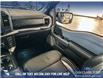 2022 Ford F-150 Tremor (Stk: P14007) in Airdrie - Image 24 of 24