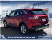 2022 Ford Escape SE (Stk: P6574) in Olds - Image 4 of 24