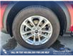 2022 Ford Escape SE (Stk: P6574) in Olds - Image 6 of 24