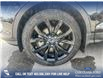 2019 Ford Escape SE (Stk: P6588) in Olds - Image 6 of 25