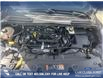 2019 Ford Escape SE (Stk: P6588) in Olds - Image 10 of 25