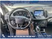 2019 Ford Escape SE (Stk: P6588) in Olds - Image 13 of 25