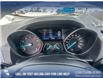 2019 Ford Escape SE (Stk: P6588) in Olds - Image 15 of 25