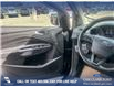 2019 Ford Escape SE (Stk: P6588) in Olds - Image 17 of 25