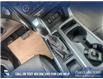 2019 Ford Escape SE (Stk: P6588) in Olds - Image 18 of 25