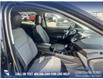 2019 Ford Escape SE (Stk: P6588) in Olds - Image 22 of 25