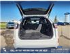 2024 Ford Edge ST Line (Stk: U37431) in Red Deer - Image 12 of 25