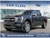2021 Ford F-150 Platinum (Stk: U37389) in Red Deer - Image 1 of 25