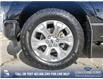 2021 Ford F-150 Platinum (Stk: U37389) in Red Deer - Image 6 of 25