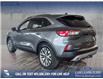 2021 Ford Escape Titanium Hybrid (Stk: P14022) in Airdrie - Image 4 of 24