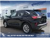 2021 Ford Escape SE Hybrid (Stk: P6593) in Olds - Image 4 of 24
