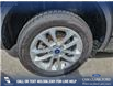 2021 Ford Escape SE Hybrid (Stk: P6593) in Olds - Image 6 of 24