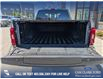 2021 Ford F-150  (Stk: P1410) in Canmore - Image 12 of 25