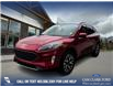 2020 Ford Escape Titanium (Stk: P1418) in Canmore - Image 1 of 25