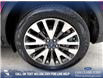 2020 Ford Escape Titanium (Stk: P1418) in Canmore - Image 6 of 25