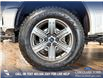 2019 Ford F-150 Limited (Stk: P14099) in Airdrie - Image 6 of 25