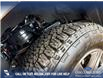 2019 Ford F-150 Limited (Stk: P14099) in Airdrie - Image 7 of 25