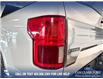 2019 Ford F-150 Limited (Stk: P14099) in Airdrie - Image 11 of 25