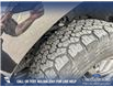 2022 Ford F-150 Tremor (Stk: P6624) in Olds - Image 7 of 25