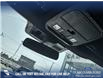 2022 Ford F-150 Tremor (Stk: P6623) in Olds - Image 20 of 24