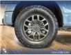 2023 Ford F-150 Tremor (Stk: P14625) in Airdrie - Image 6 of 24