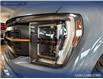 2023 Ford F-150 Tremor (Stk: P14625) in Airdrie - Image 8 of 24