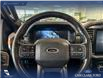 2023 Ford F-150 Tremor (Stk: P14625) in Airdrie - Image 13 of 24