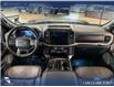 2023 Ford F-150 Tremor (Stk: P14625) in Airdrie - Image 23 of 24