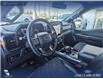 2023 Ford F-150 Tremor (Stk: P6806) in Olds - Image 13 of 25