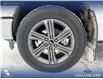 2023 Ford F-150 XLT (Stk: P6840) in Olds - Image 6 of 25