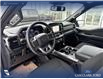 2023 Ford F-150 XLT (Stk: P6840) in Olds - Image 13 of 25
