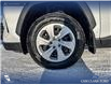 2024 Toyota RAV4 LE (Stk: BJT1574) in Canmore - Image 6 of 25