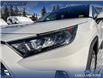 2024 Toyota RAV4 LE (Stk: BJT1574) in Canmore - Image 8 of 25