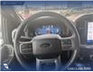 2025 Ford F-150 XLT (Stk: P6873) in Olds - Image 14 of 25