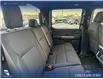 2025 Ford F-150 XLT (Stk: P6873) in Olds - Image 23 of 25