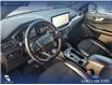 2024 Ford Escape ST-Line (Stk: U37872) in Red Deer - Image 12 of 23