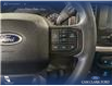 2023 Ford F-150 XLT (Stk: P14700) in Airdrie - Image 16 of 24