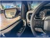 2023 Ford F-150 XLT (Stk: P14700) in Airdrie - Image 17 of 24
