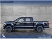 2024 Ford F-150 Platinum (Stk: P6878) in Olds - Image 3 of 24