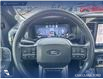 2024 Ford F-150 Platinum (Stk: P6878) in Olds - Image 13 of 24