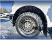 2020 Ford F-150 XLT (Stk: P1580) in Canmore - Image 6 of 27