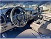 2020 Ford F-150 XLT (Stk: P1580) in Canmore - Image 13 of 27