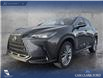 2023 Lexus NX 350 Base (Stk: P6895) in Olds - Image 1 of 25